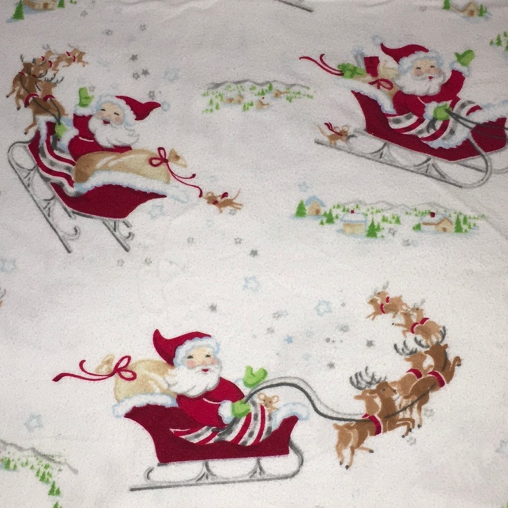 Twin Pottery Barn kids flannel sheets set SOFT!